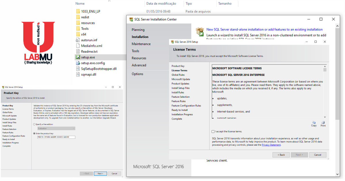 Labmu downloads sql server